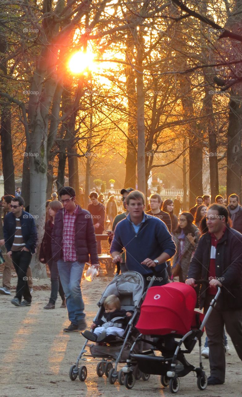 Autumn afternoon at the Luxembourg Gardens, Paris