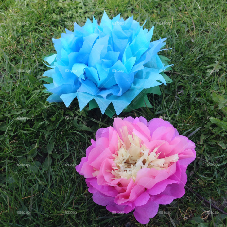 Tissue paper flowers. I made these flowers together with the kids at my school. 