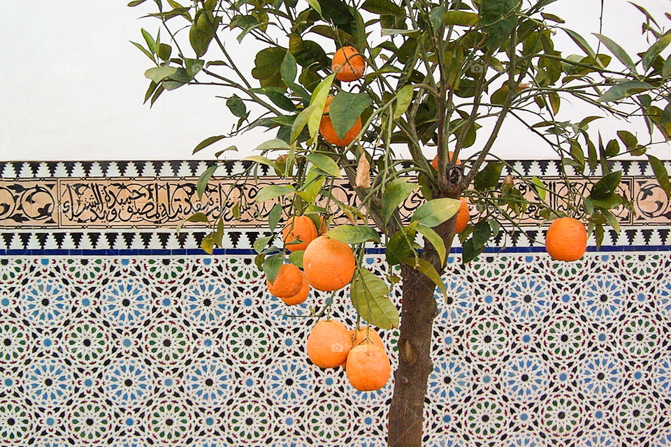 Orangenbaum vor einer Mauer mit orientalischem Muster