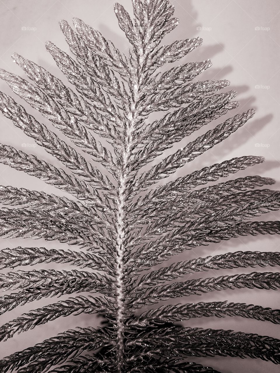 Everything is beautiful in the right light.