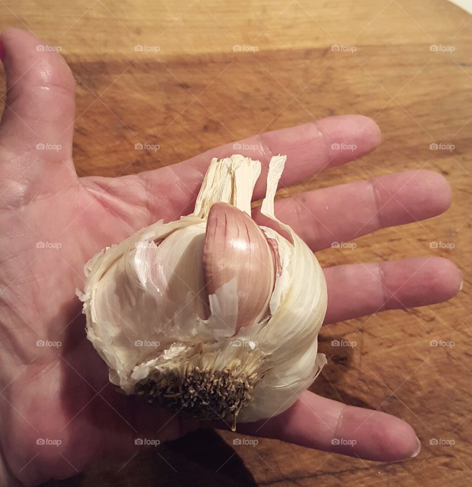 Holding Garlic Bulbs