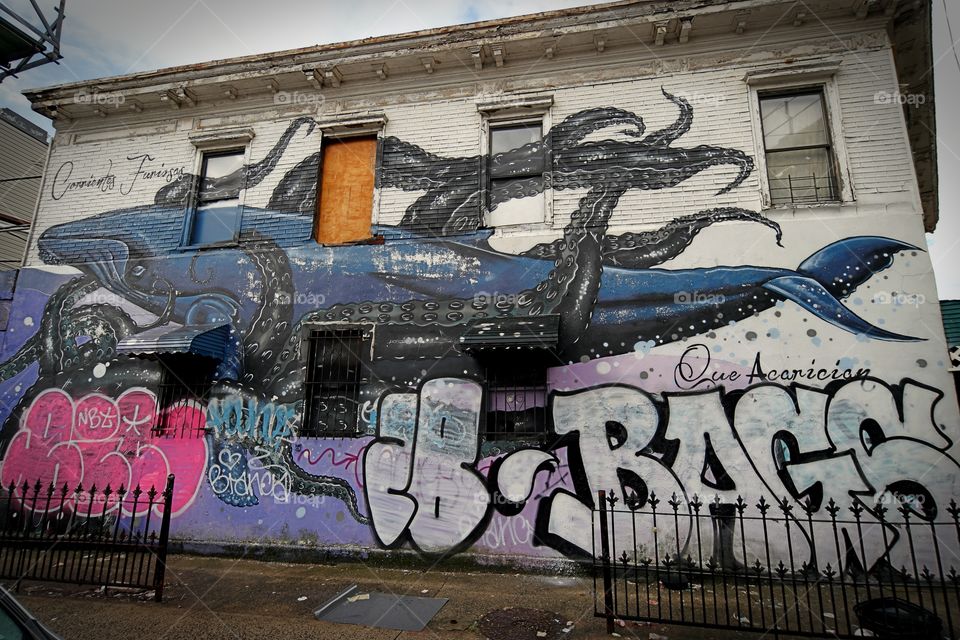 Brooklyn  Whale Mural