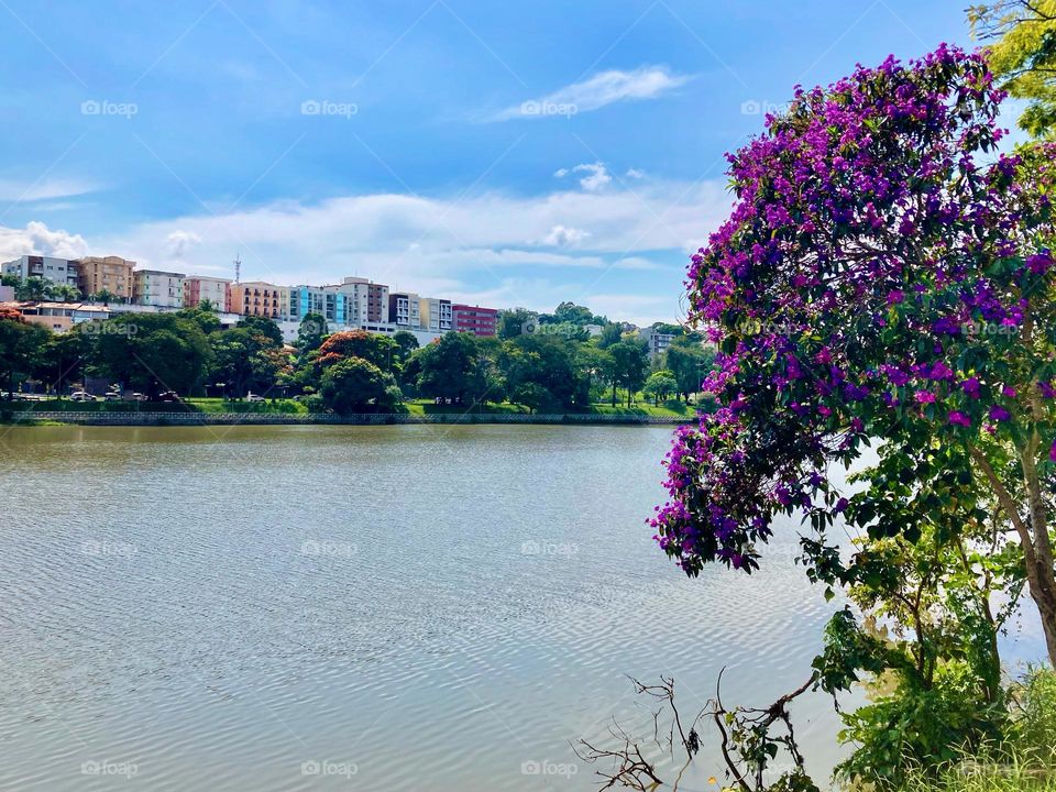 A linda manhã bragantina, à beira do Lago do Taboão!

Tá bonito ou não tá?

Que a inspiração desta beleza nos anime na labuta.