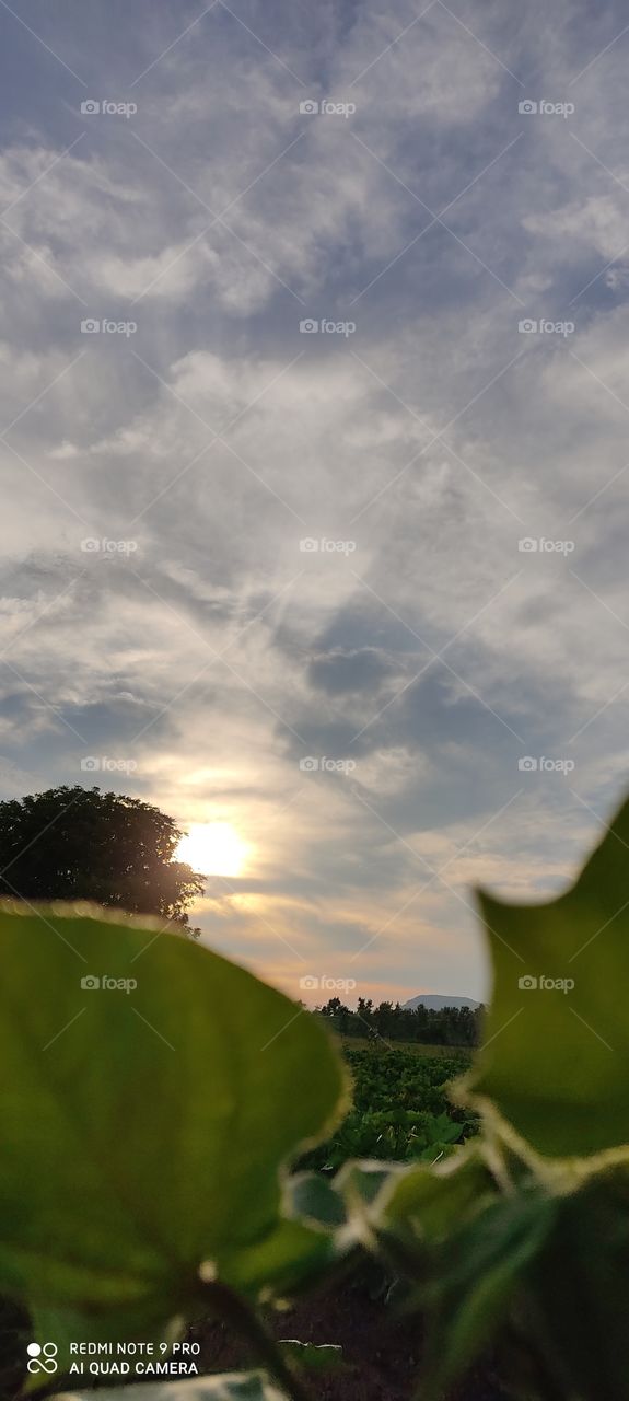 The view of the setting sun is pleasing to the mind