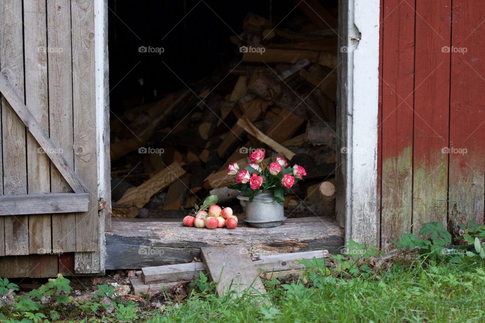 pink roses and apple