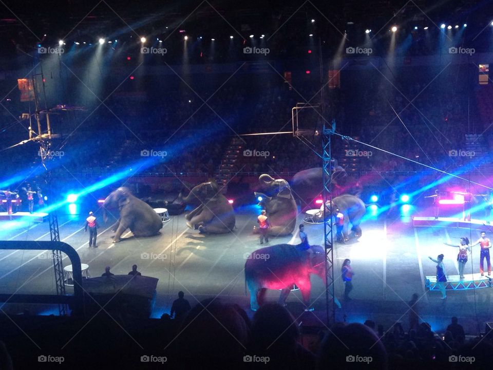 The Circus 