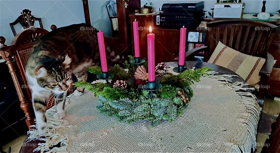 This is the evening of the first advent before Christmas indicated by the reef with four red candles on the table and one candle lit. This means that Christmas is three more weeks away. 2023. Hypnotic Productions