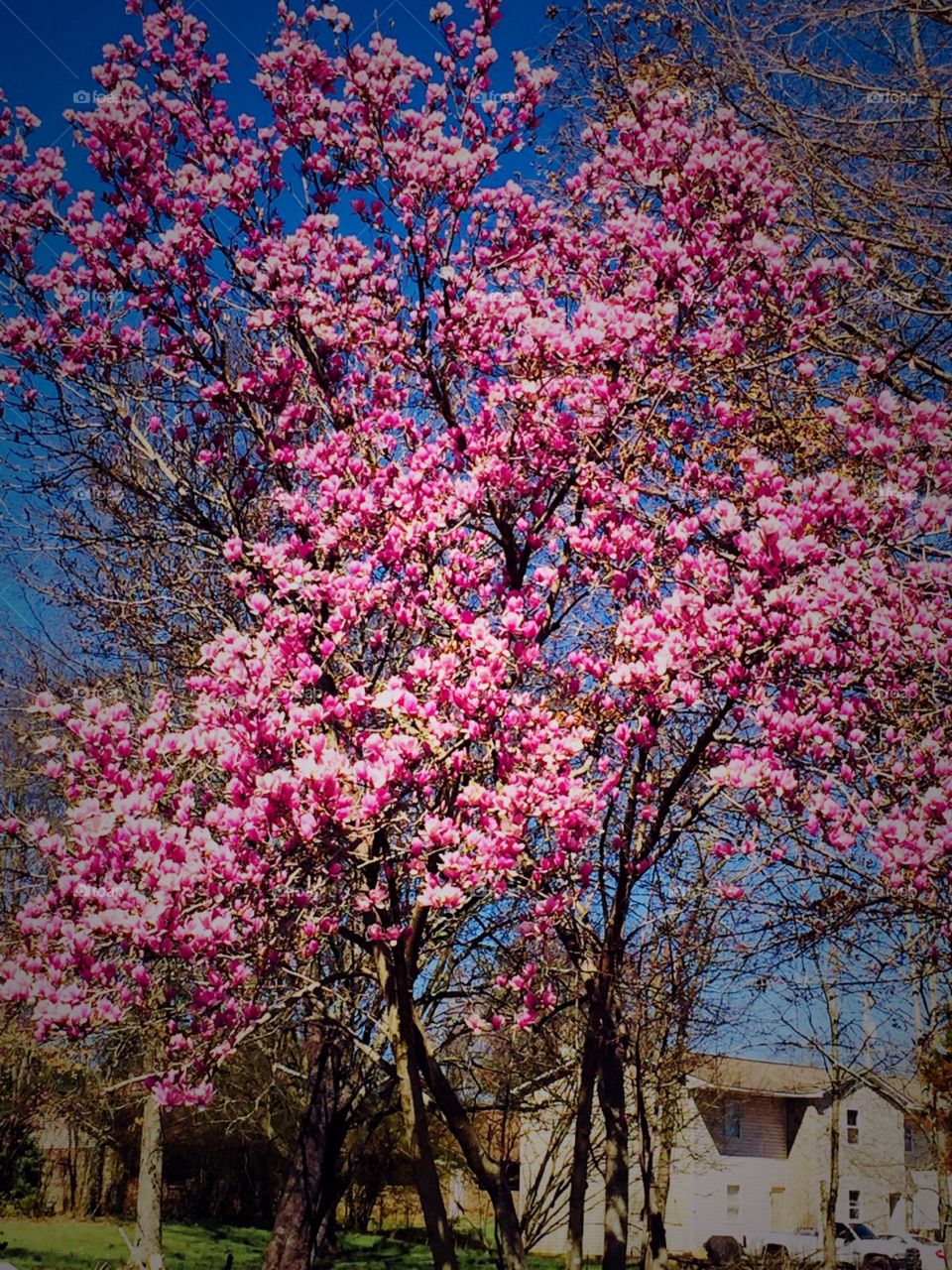 Today is a beautiful day 