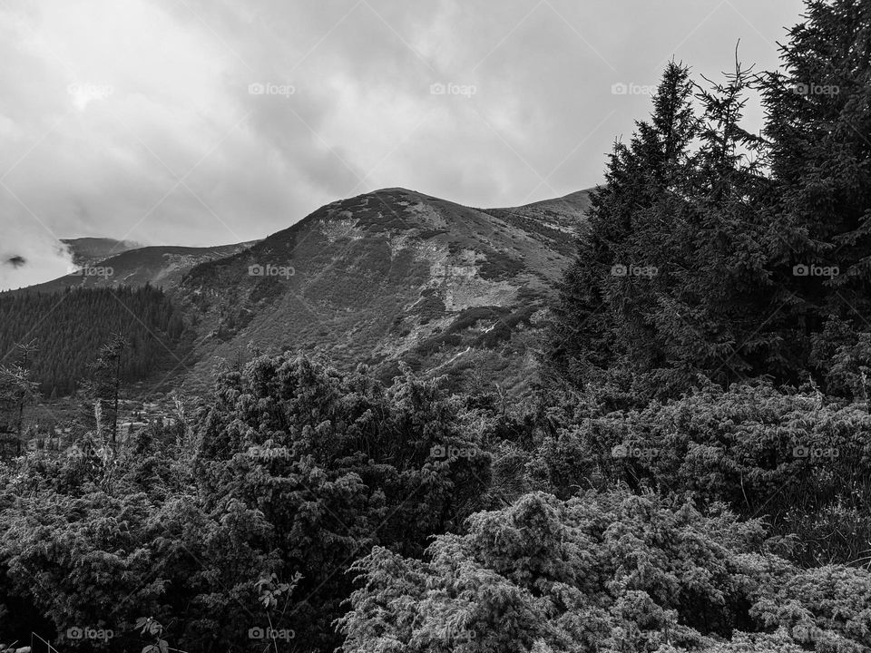 Carpathians - view from Hoverla to the Hoverlyansky waterfall