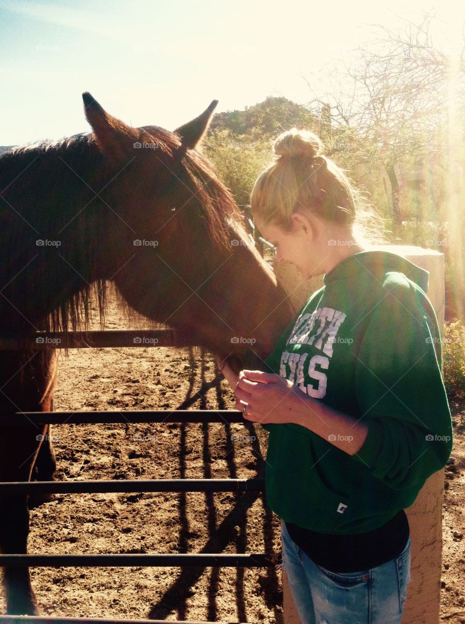 Interacting with the horse