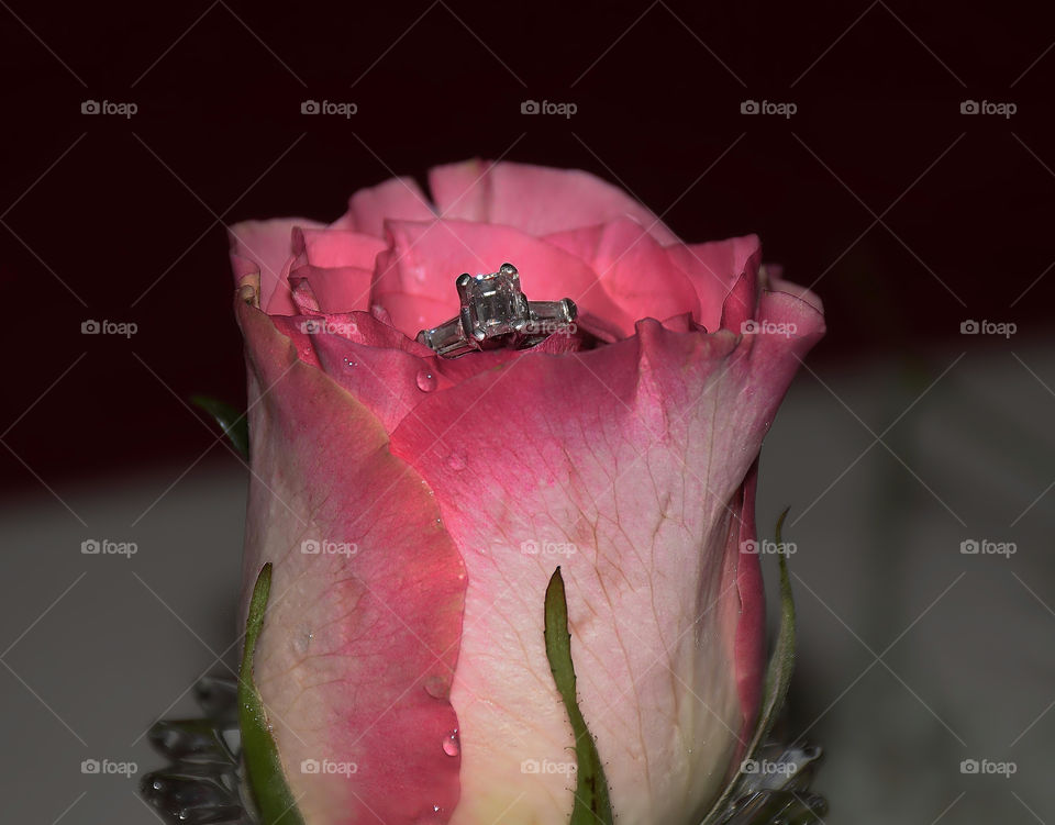 Ring in rose