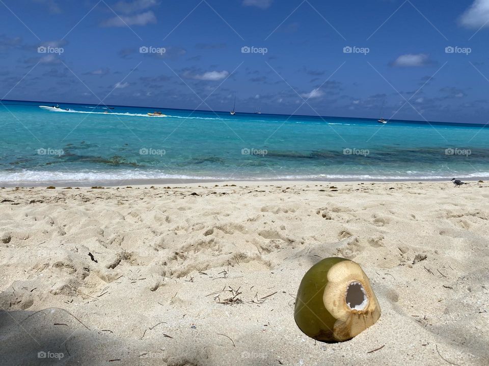Coconut at the beach