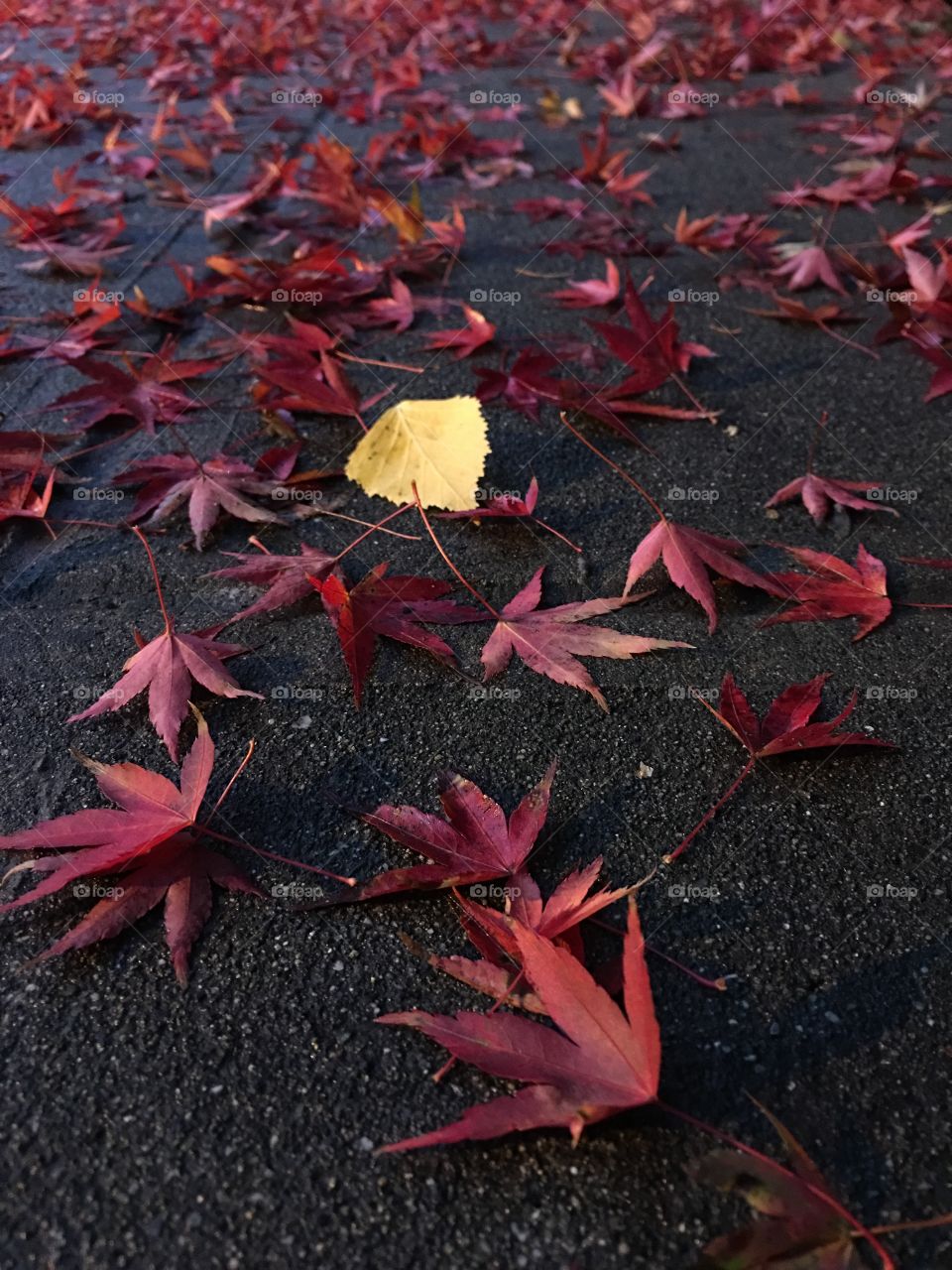 It's ok to be different. 