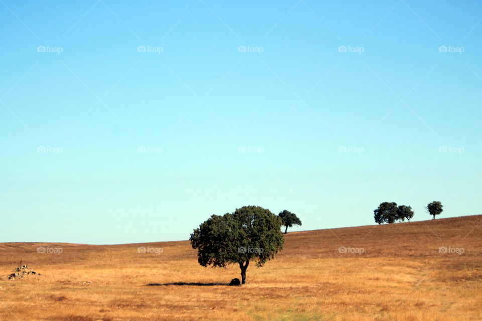 Under the blue sky