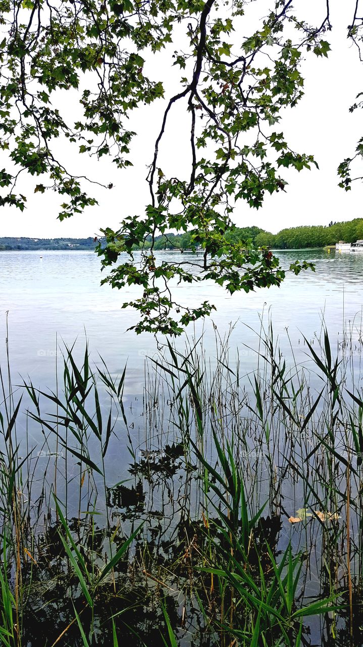 #lake