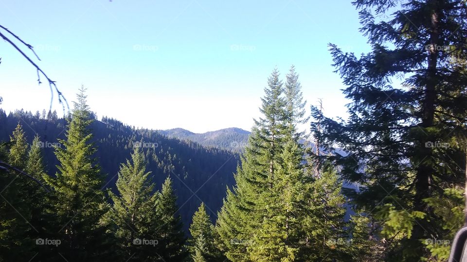 Oregon View