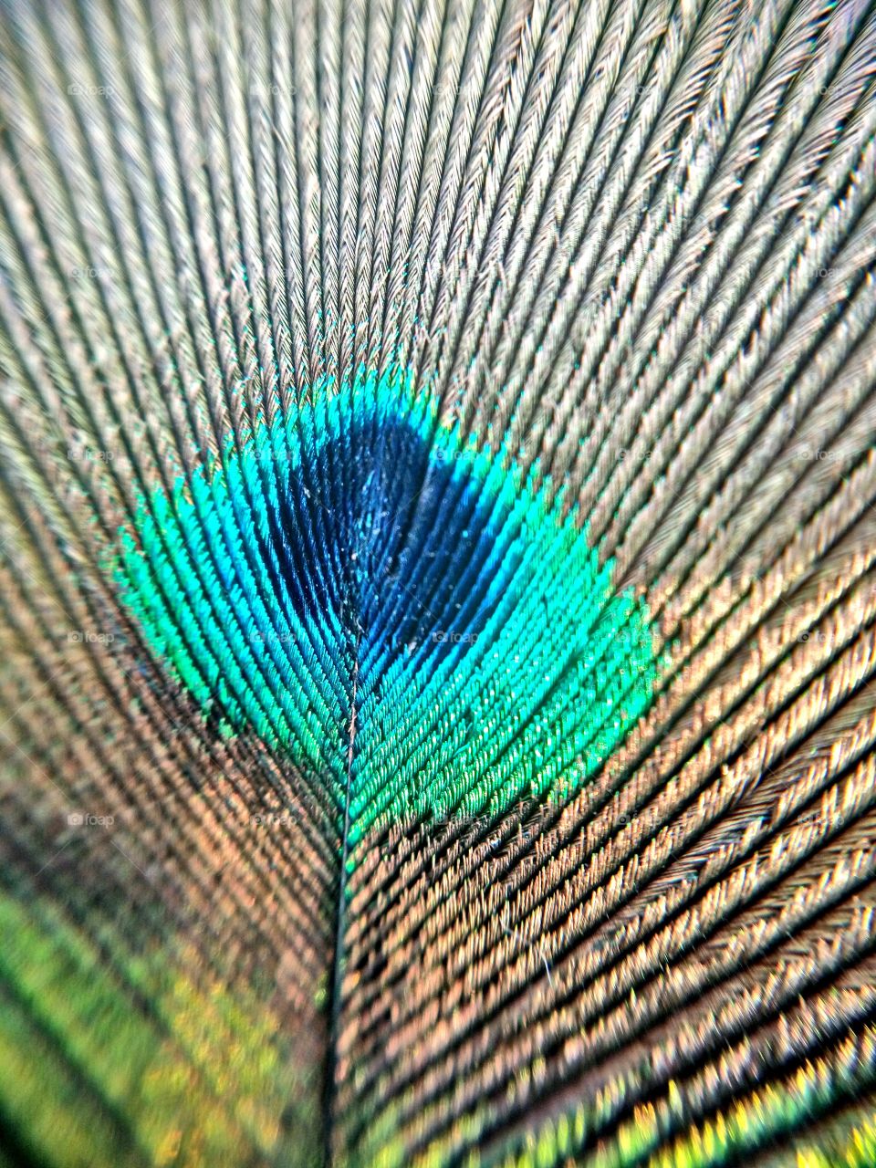 the most beautiful colr