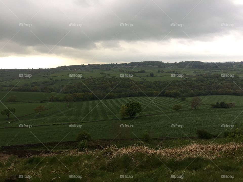 Green fields , England 