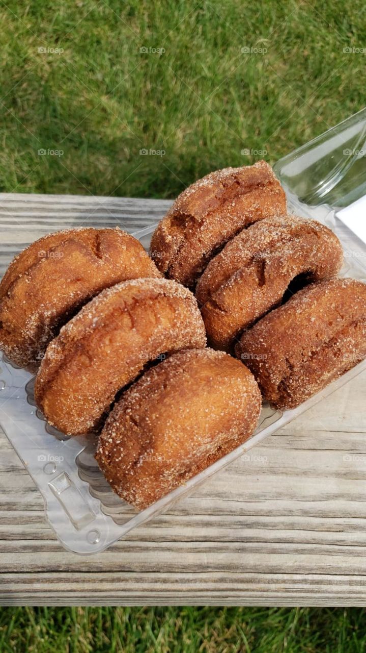 Apple cider donuts @ Harbes Farm
