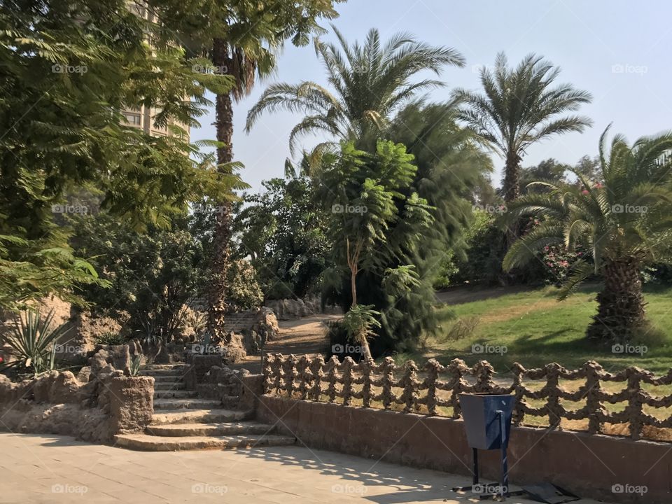 Aquarium Grotto Garden, Zamalik, Cairo, Egypt. Shows the greenery and rocky style of the garden. Roughness of the rocks puts everything together along with the trees, shadows, rocks and stairs to give us that beautiful graden ❤️