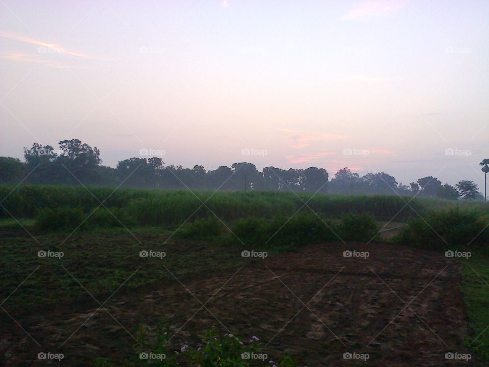 Morning time in countryside