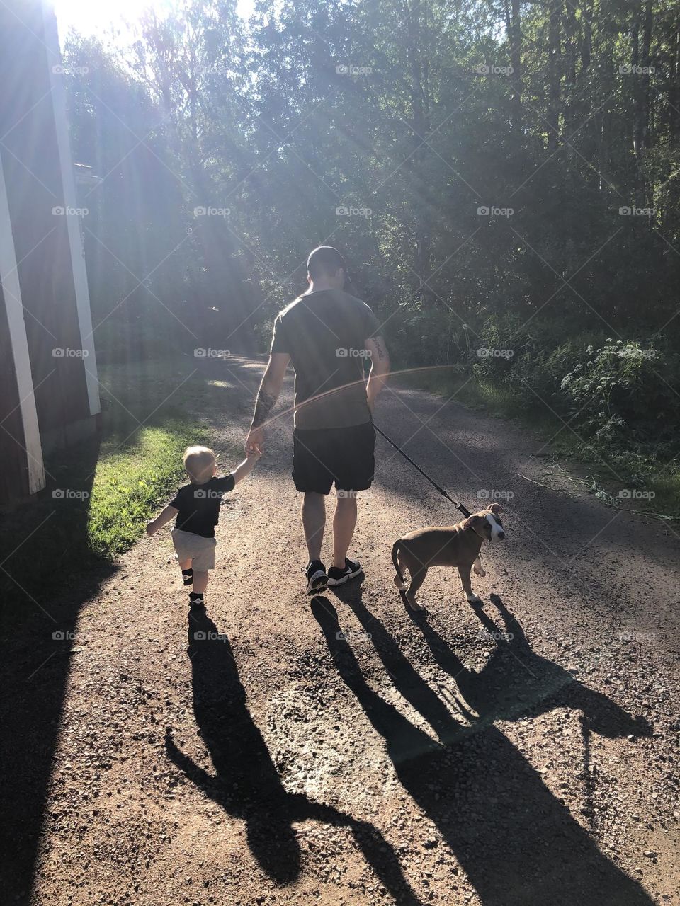 Let’s go for a walk