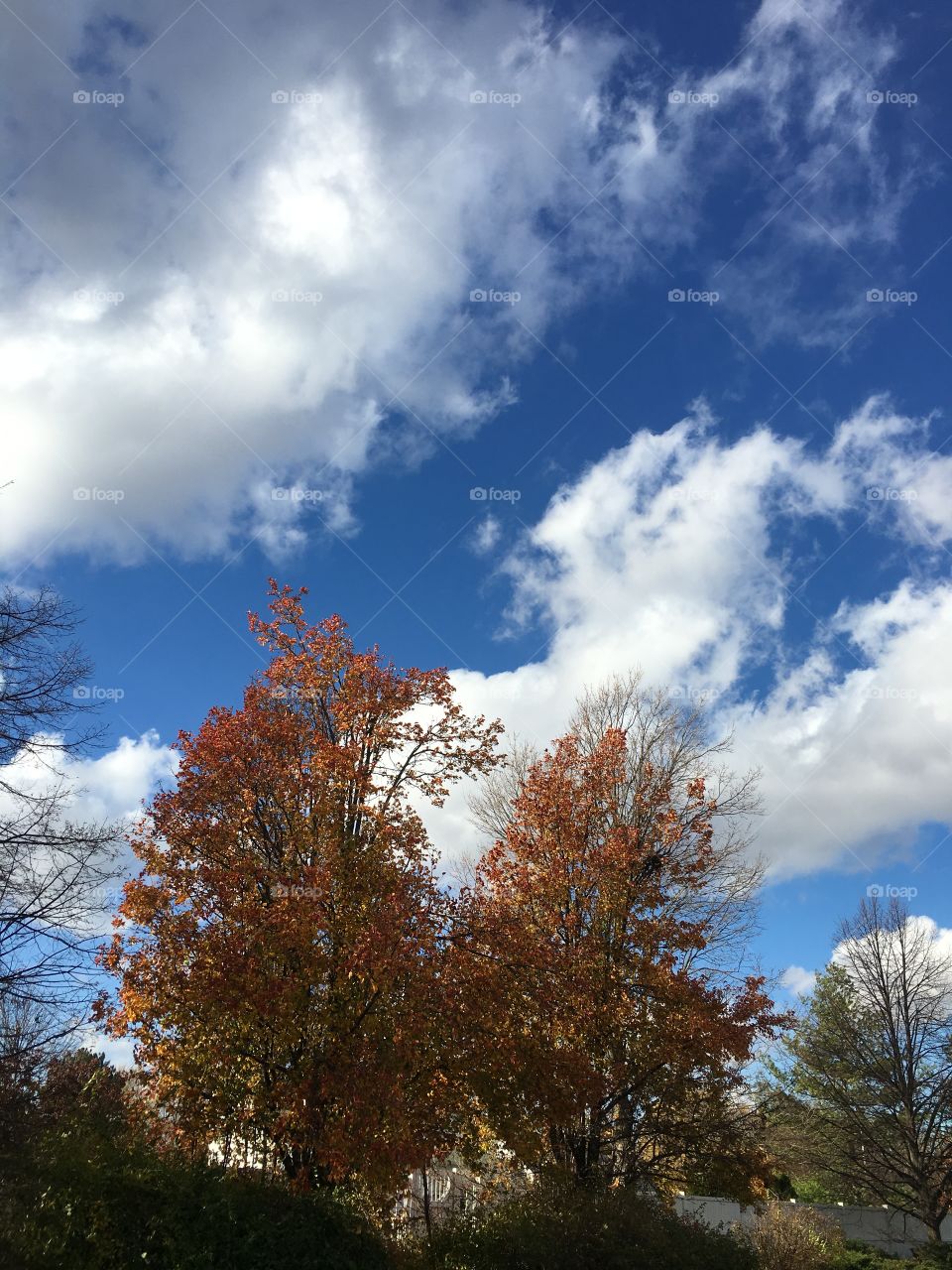 Fall clouds 