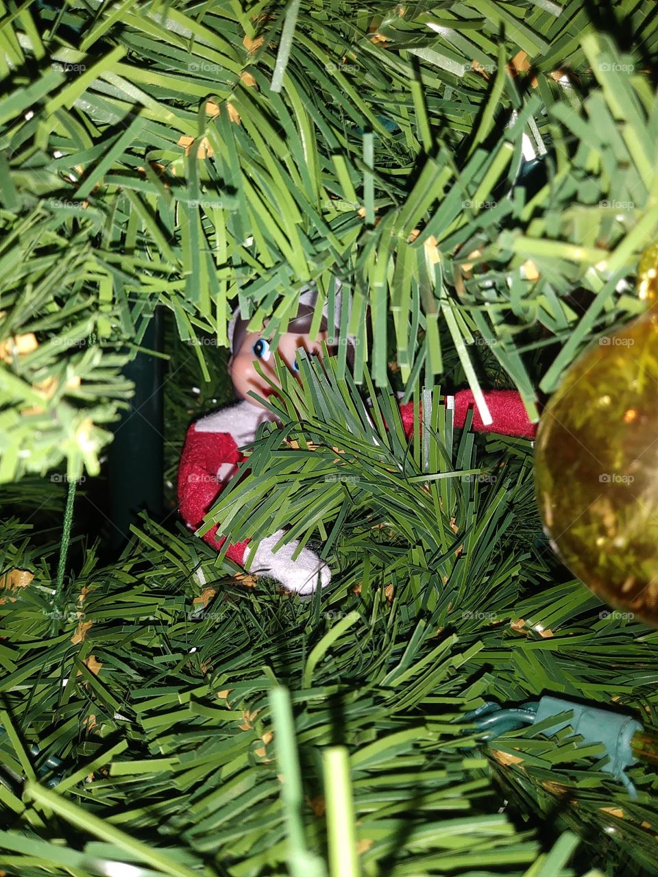 #Christmas #elf #Xmas #Christmastree #santashelper #elfontheshelf #hideandgoseek #holidays