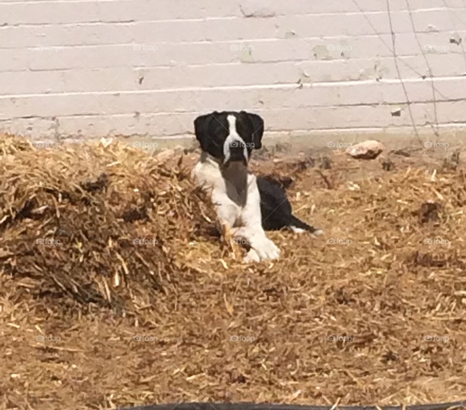 Relaxing in the sun