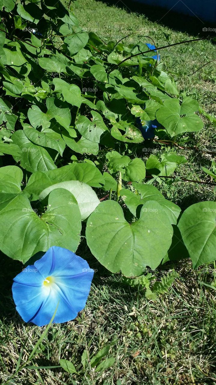 never to low to the ground