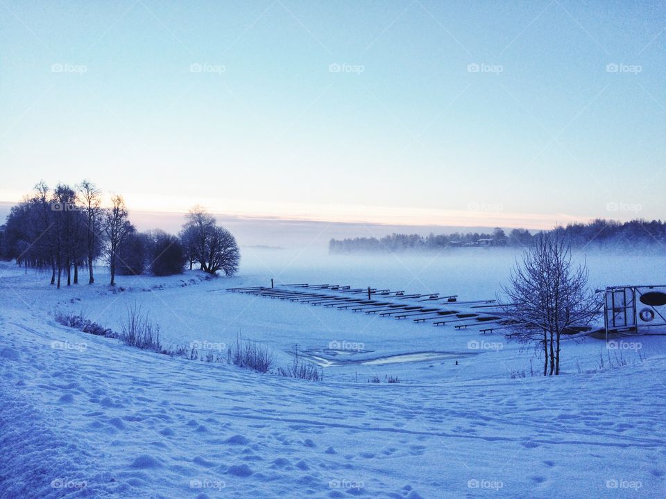 Winter, Snow, Cold, Frost, Frozen