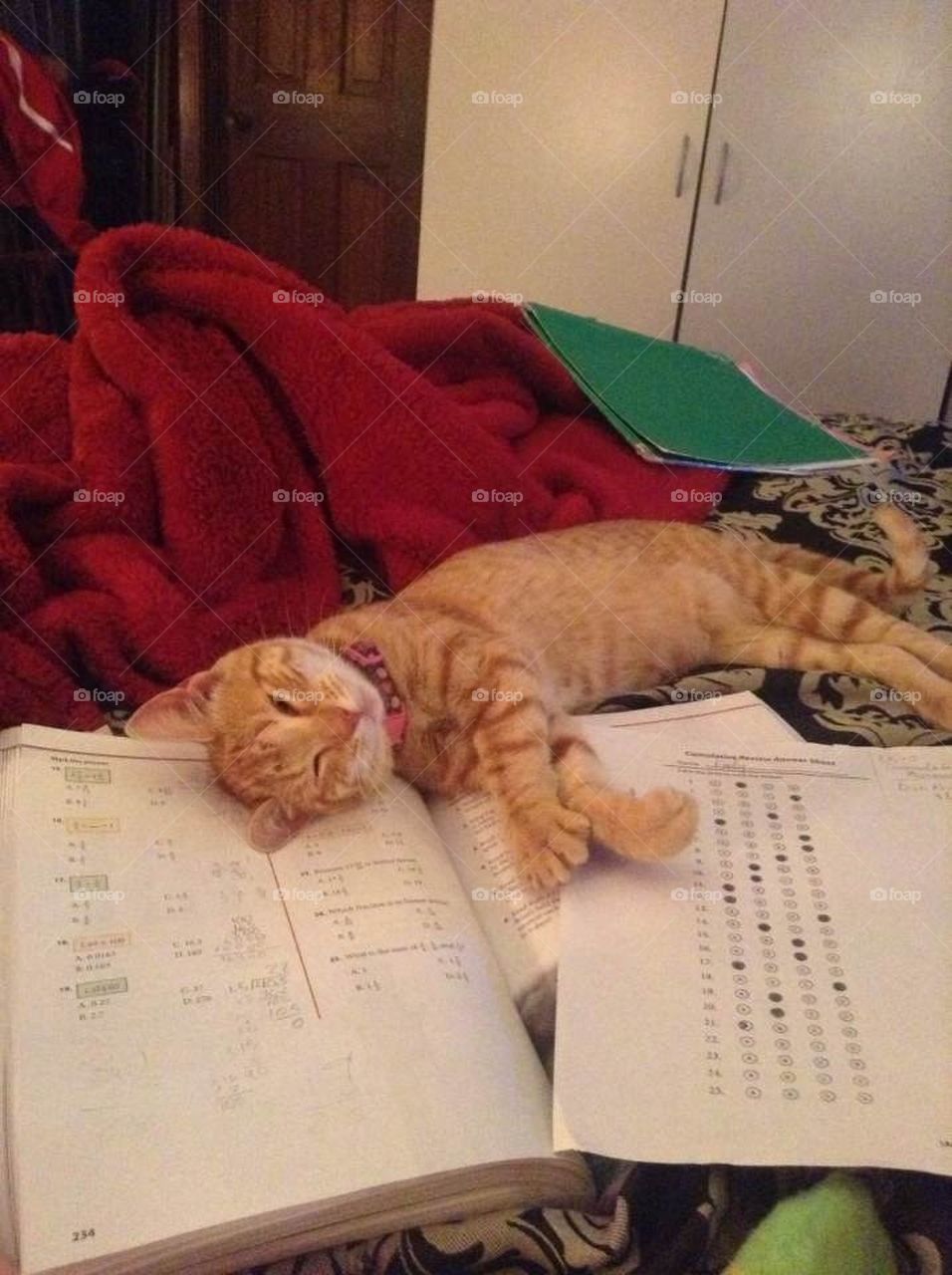 Homework helper