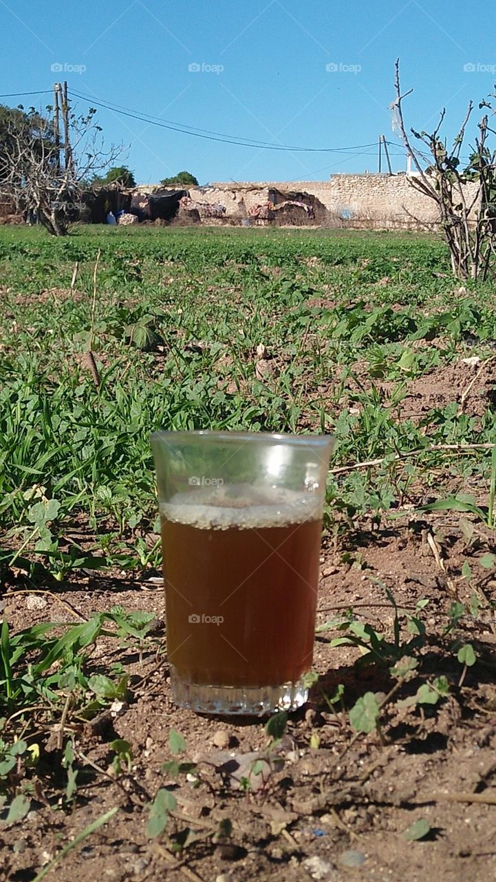 A cup of tea in nature's arms.