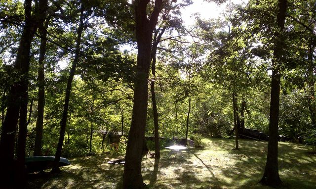 Paradise