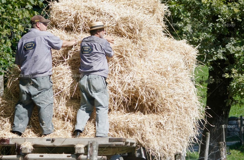 Farmers. Farmers