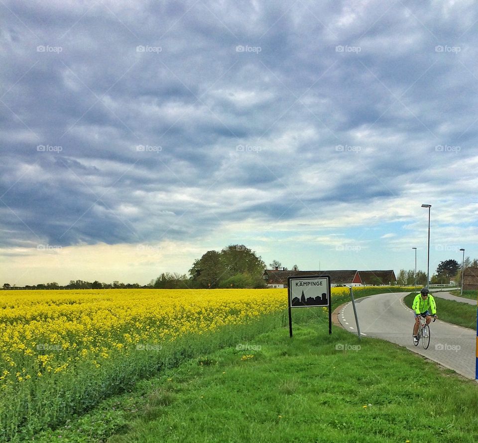 Biking along the rapeseed field