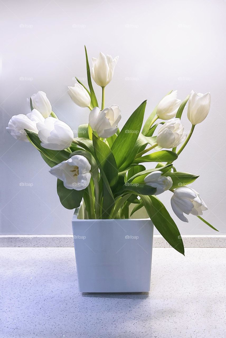 Bouquet white tulips