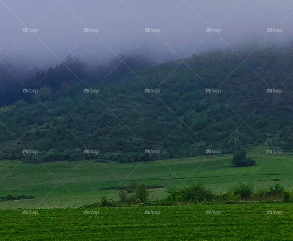 fog in the Oregon hills