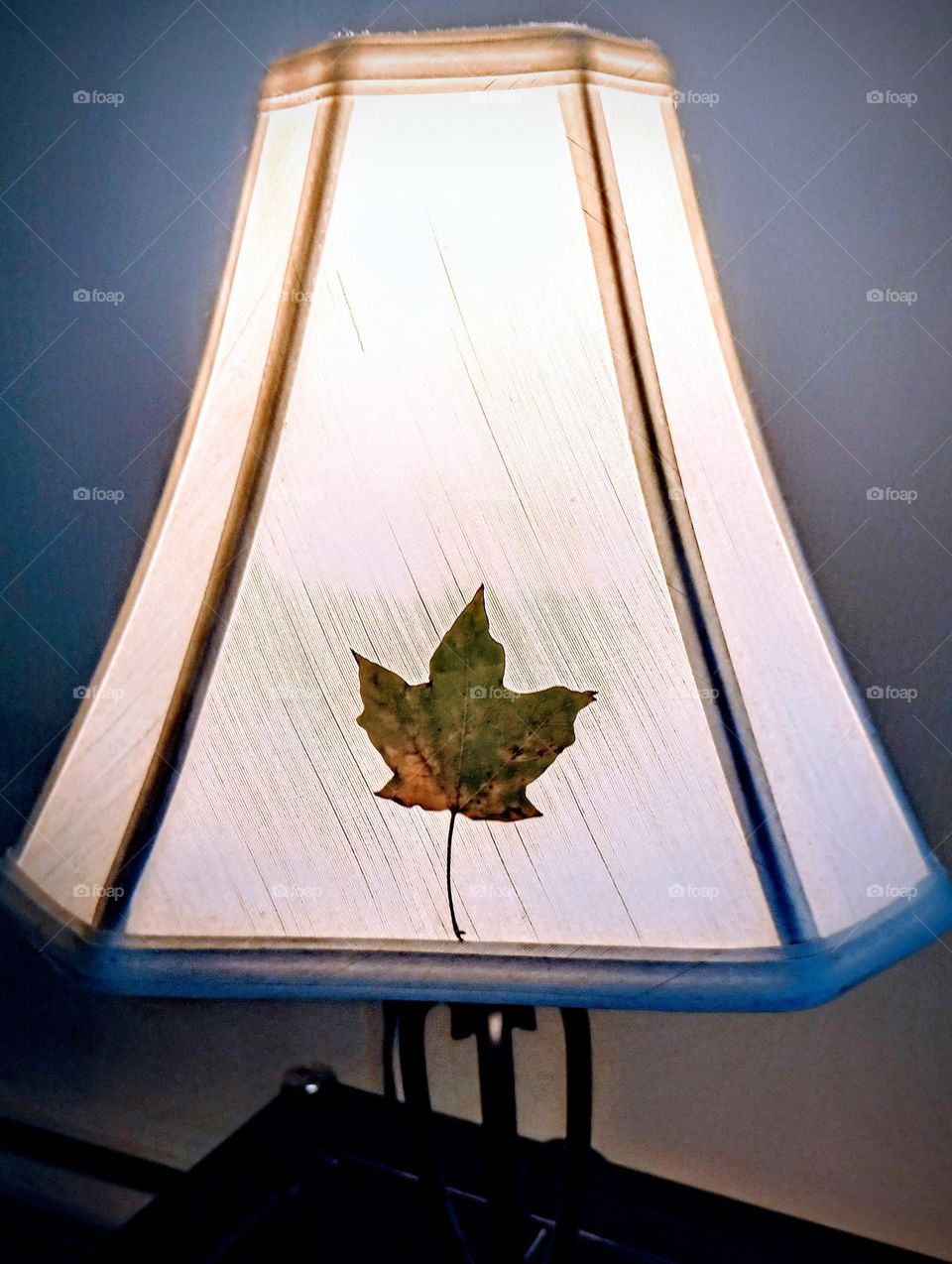 Lampshade Leaf