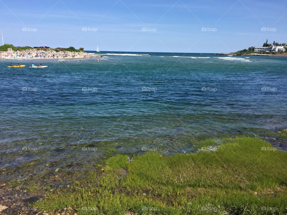 Maine Ocean 