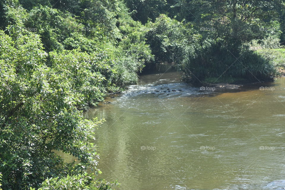 It is a beautiful river calmly flowing through forest and beautiful mountains