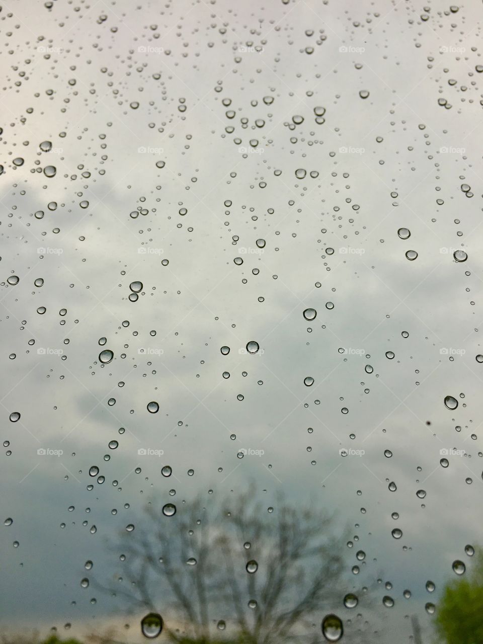 Rainy window 