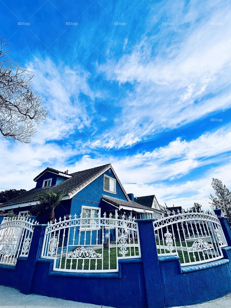 Blue House