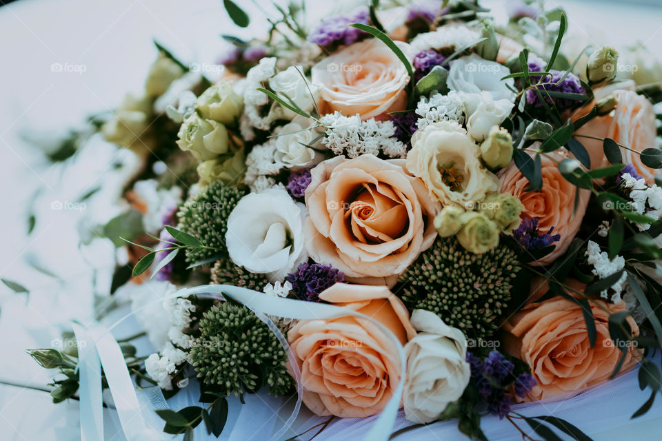 Flora. Flowers. Roses.