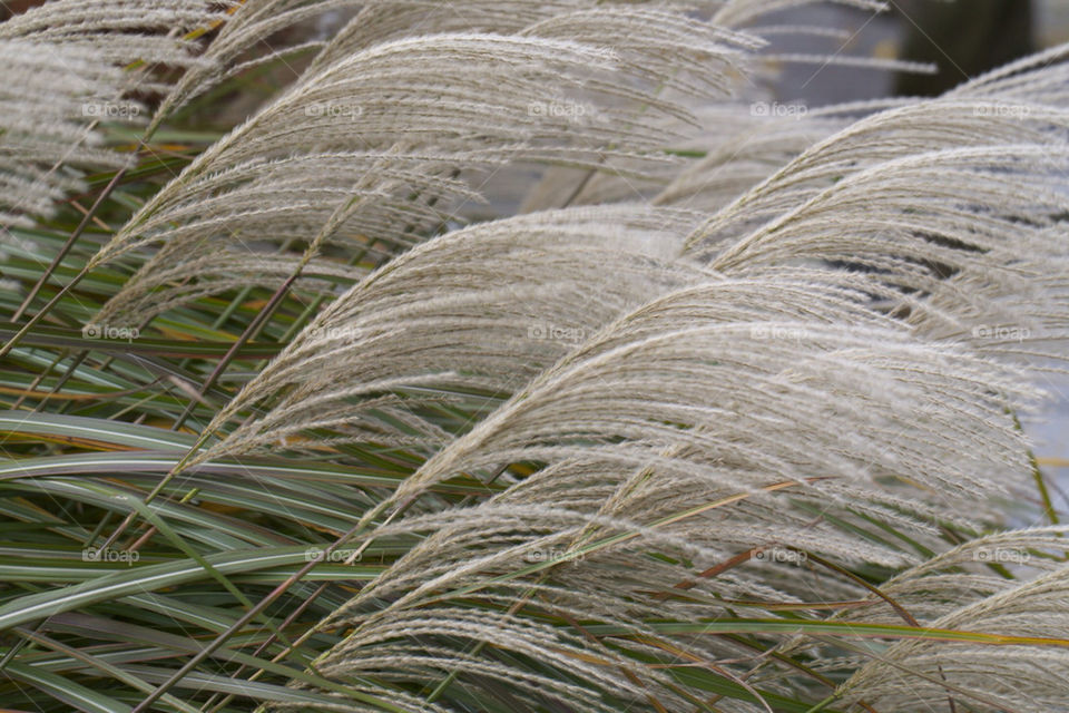 blowing the wind in by camcrazy