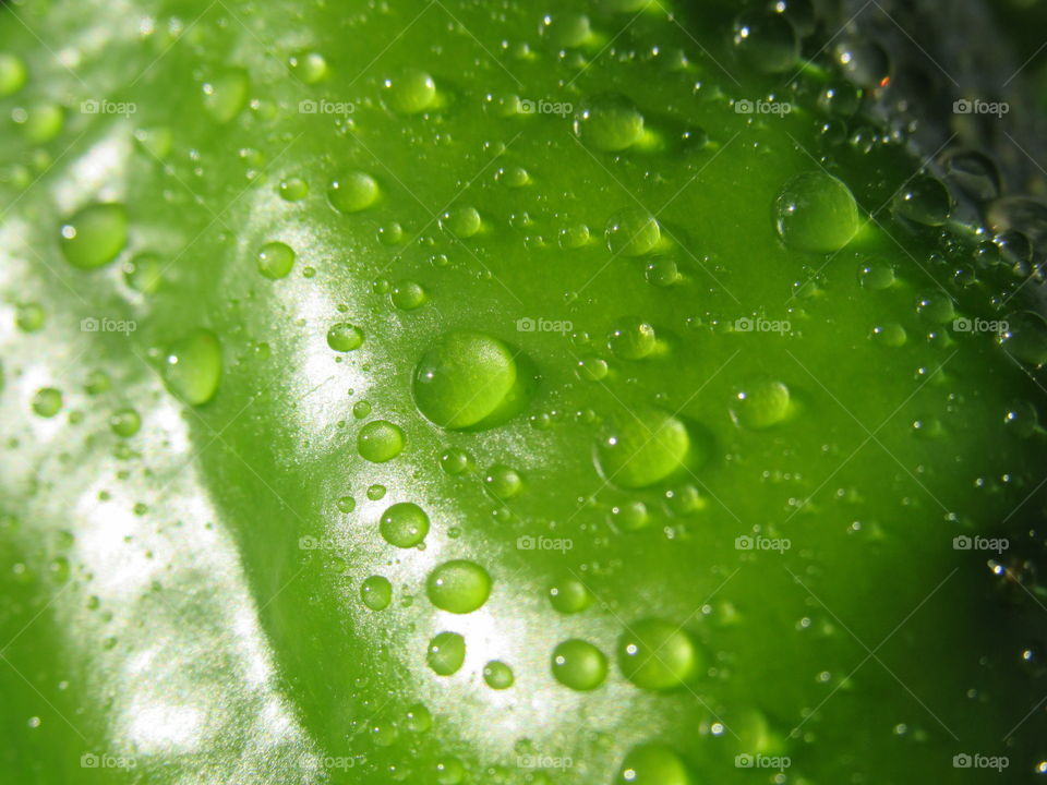 Green dew drops.