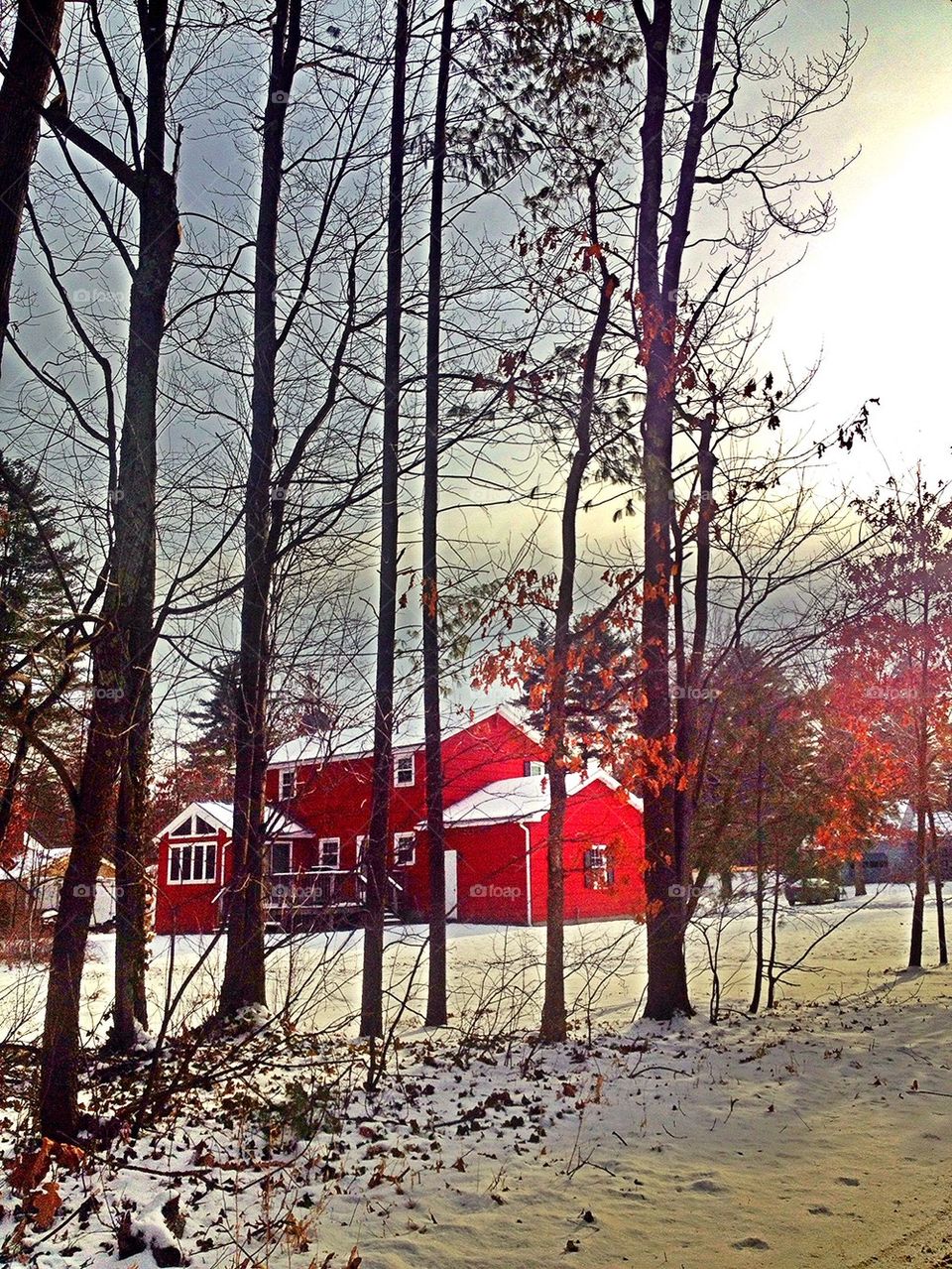 Winter Scene