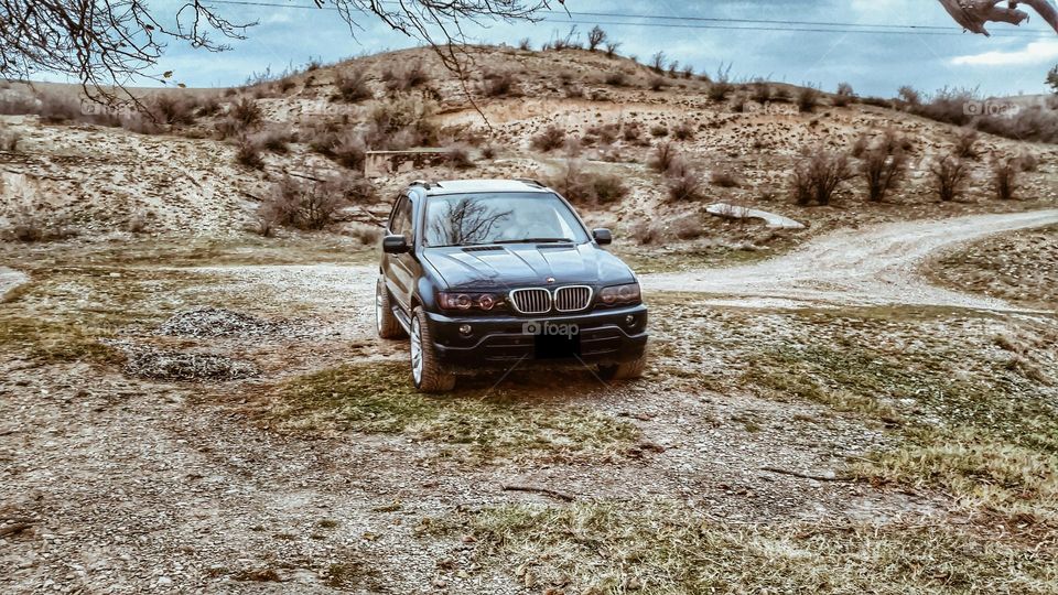 bmw in nature