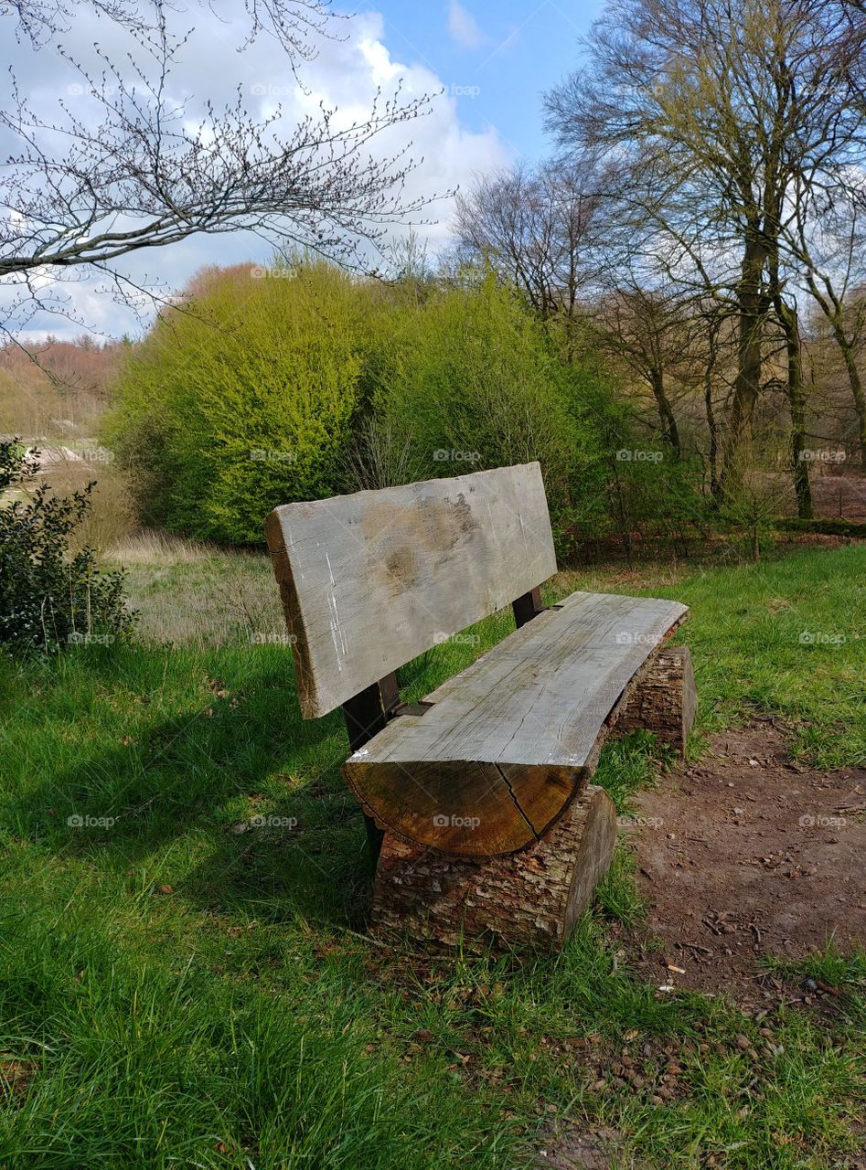 bank wiese Bäume grün Frühling