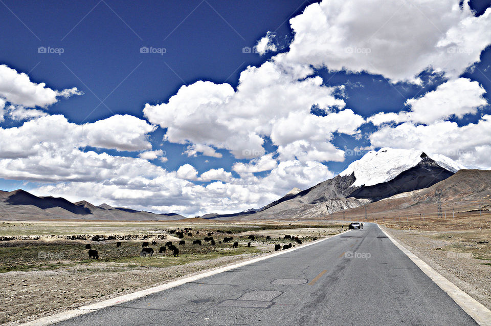 tibetan road